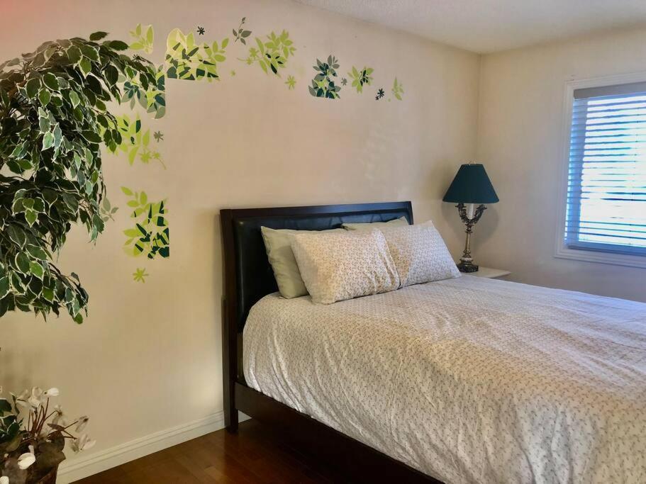2500 Sq House In Springbank Hill Bl 261818 Villa คาลการี ภายนอก รูปภาพ