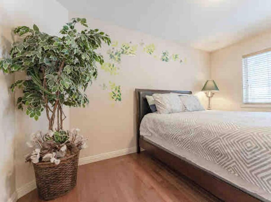 2500 Sq House In Springbank Hill Bl 261818 Villa คาลการี ภายนอก รูปภาพ